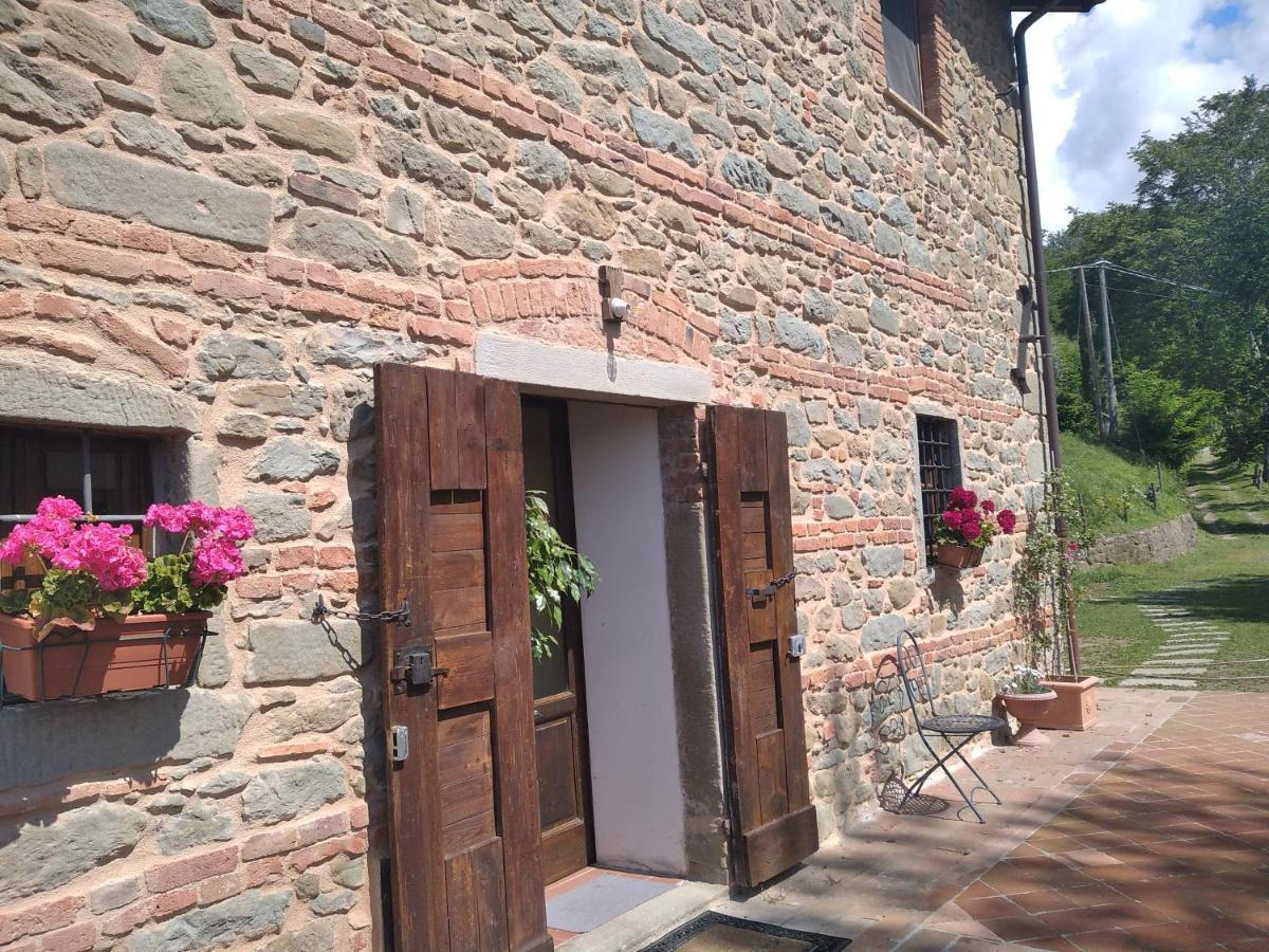Villa Belvedere Pieve Fosciana Екстериор снимка